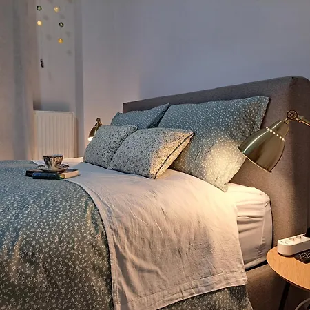 Luxury Campus Apartment